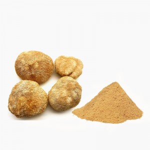 Lion’s Mane Mushroom Extract  Lion’s Mane Mushroom Extract can cure chronic gastricism, duodenum ulcer and other enteron diseases.