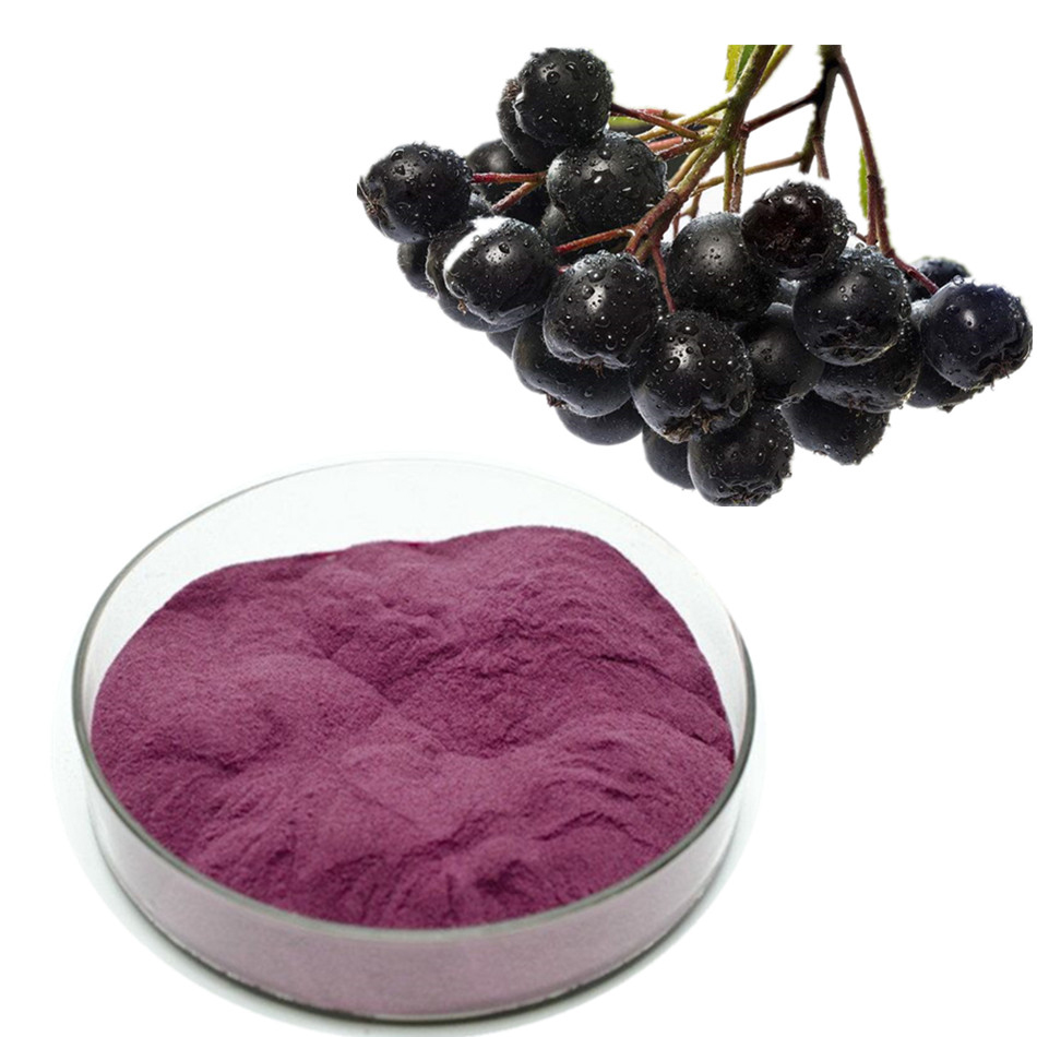 Extrato de Chokeberry Antocianina natural e pigmento Imagem em destaque