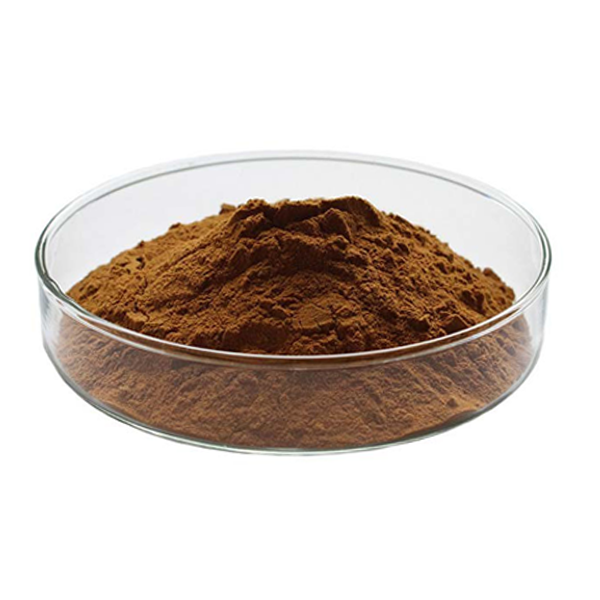 Grifola Frondosa Extract Featured Image
