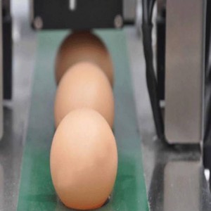 מדפסת דיו תרמית מדפסת הזרקת דיו INCODE 45 חצי אינץ' בדרגת מזון לביצים