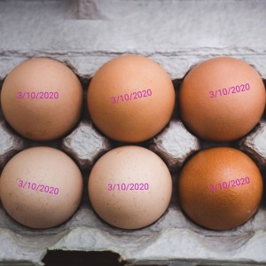 INCODE 45-tolline toidukvaliteediga TIJ tindiprinteri termotindikassett munade jaoks
