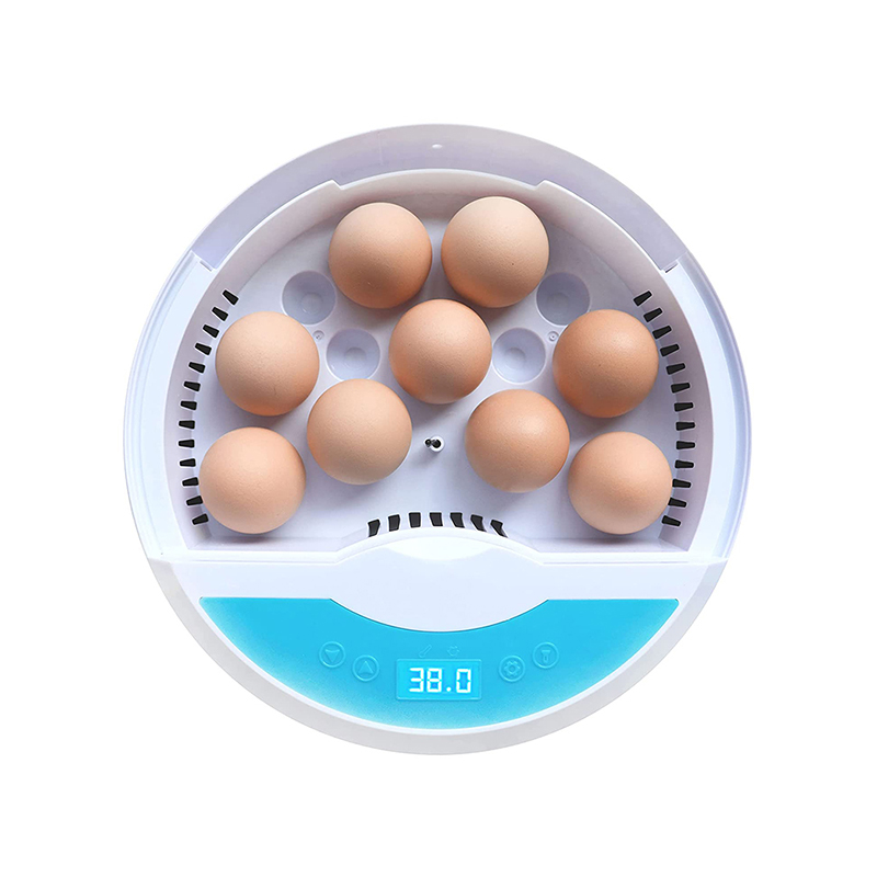 Incubator HHD 9 automatic hatching machine with LED egg candler