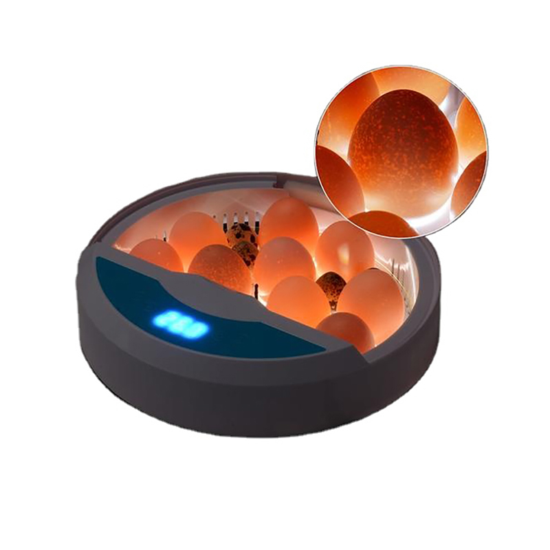 Inkubatorius HHD 9 automatinis perinimo aparatas su LED kiaušinių žvake