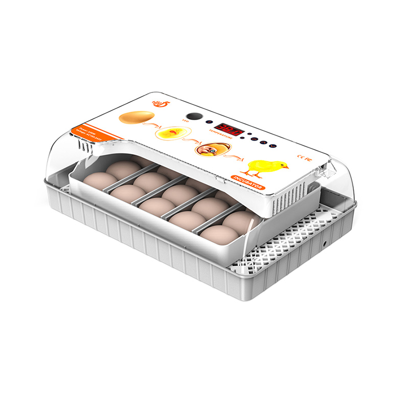 자동 에그 터너, 에그 캔들러, 닭, 메추라기, 오리, 거위, 비둘기 알 부화용 습도 디스플레이 컨트롤이 있는 부화용 4-40개의 계란 인큐베이터