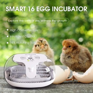 Digital WONEGG 16 Incubator |Qe Incubator rau Hatching Chicks |360 Degree Saib