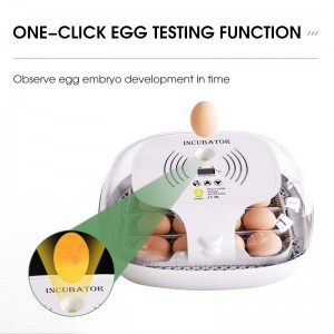 Digitaler WONEGG 16 Inkubator |Eierbrutkasten für schlüpfende Küken |360-Grad-Ansicht