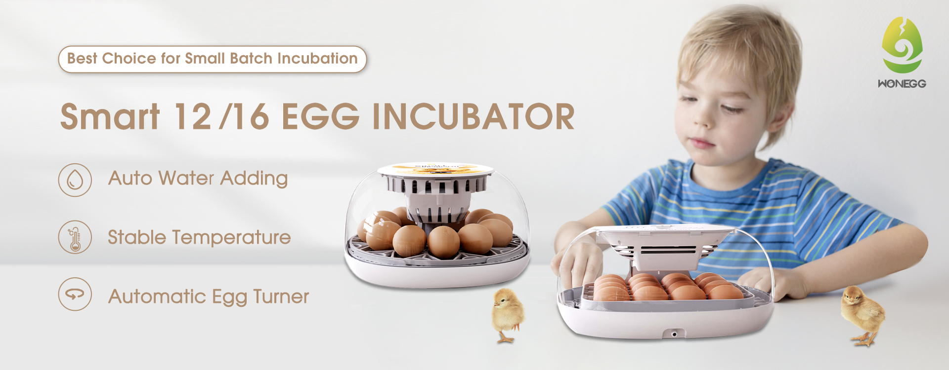 smart 12 16 eggs incubator
