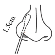 Anterior Nasal Swab (8)
