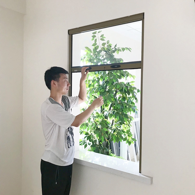 Τα παράθυρα της οθόνης στο σπίτι δεν χρειάζεται να αφαιρεθούν και η θεία οικονόμος χρησιμοποιεί μια κίνηση για να καθαρίσει ως καινούργια