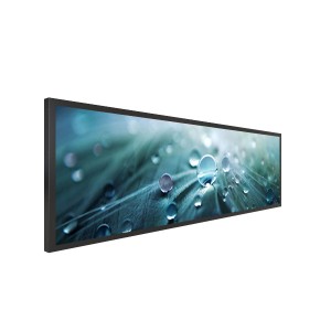 24.5 inch Stretched LCD Display