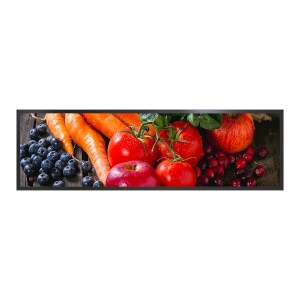49.5 inch Stretched LCD Display