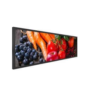 49.5 inch Stretched LCD Display
