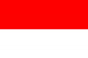 IP SLUŽBA V Indonésii