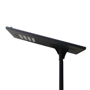 30W Auto clean all In one solar street light