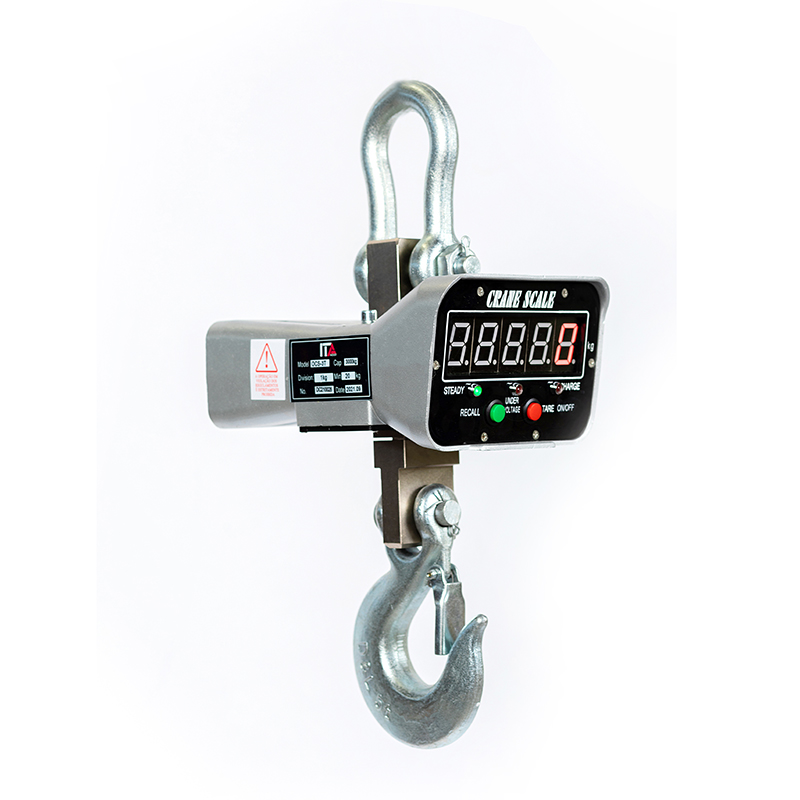 Direct vision electronic crane scale