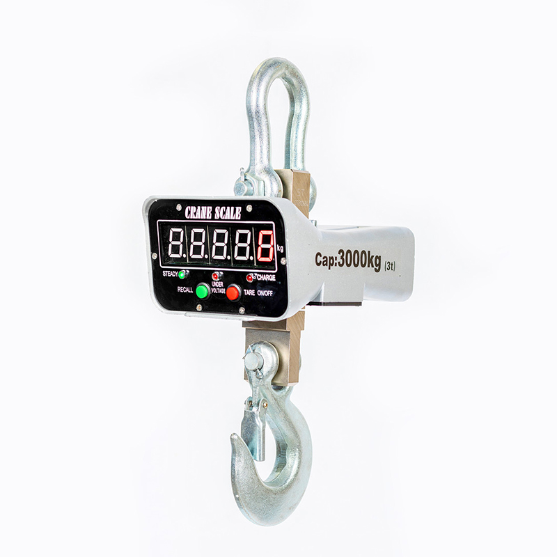 Direct vision electronic crane scale