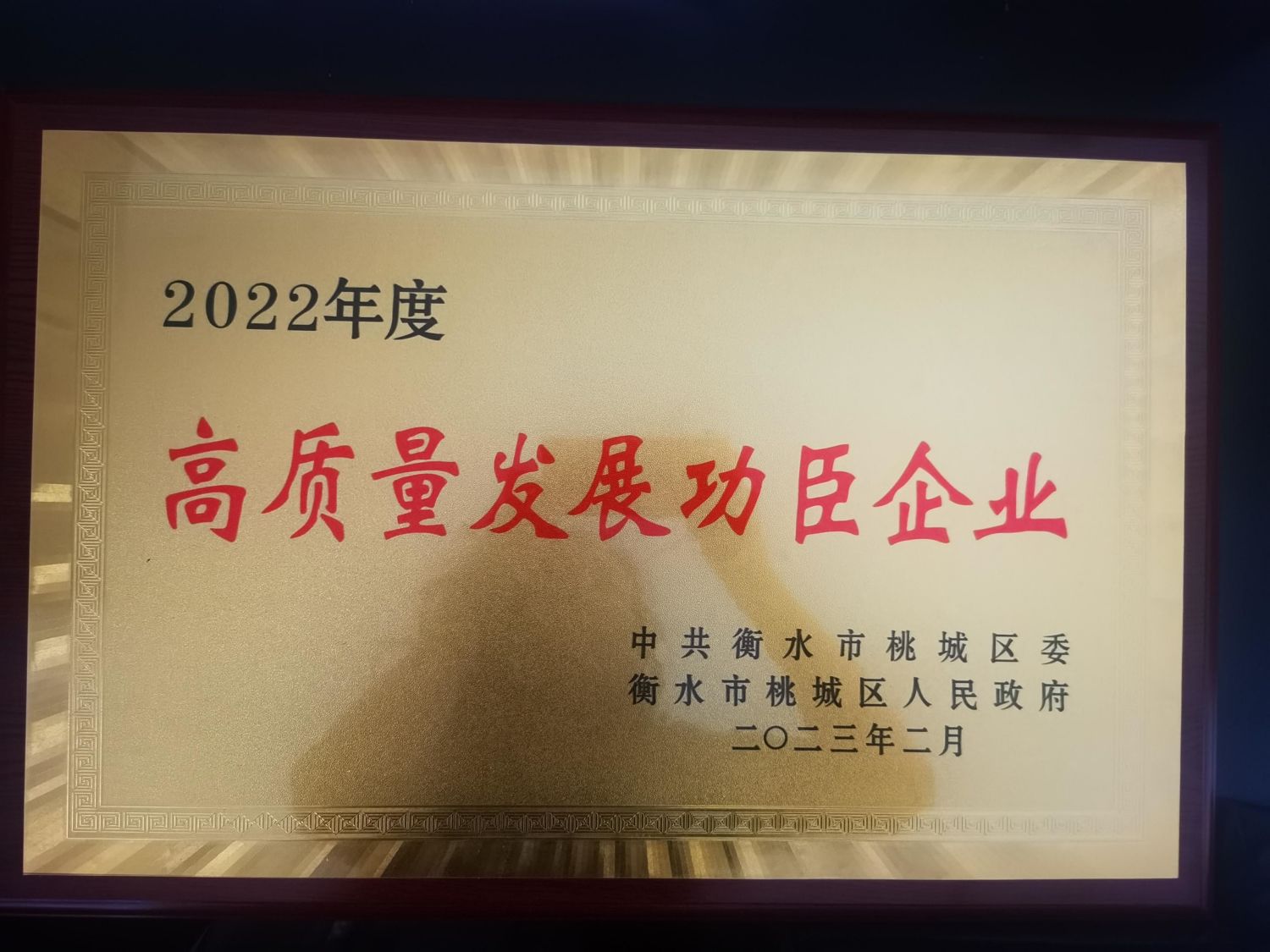 Xin chúc mừng công ty của chúng tôi（Công ty TNHH Thương mại Xuất nhập khẩu Hengshui Tianqin） đã giành được giải doanh nghiệp anh hùng phát triển chất lượng cao vào năm 2022.