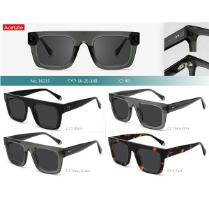T1621S Fashionable stylish one-piece sunglasses