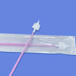 Gynecology Vagina cervix Brush
