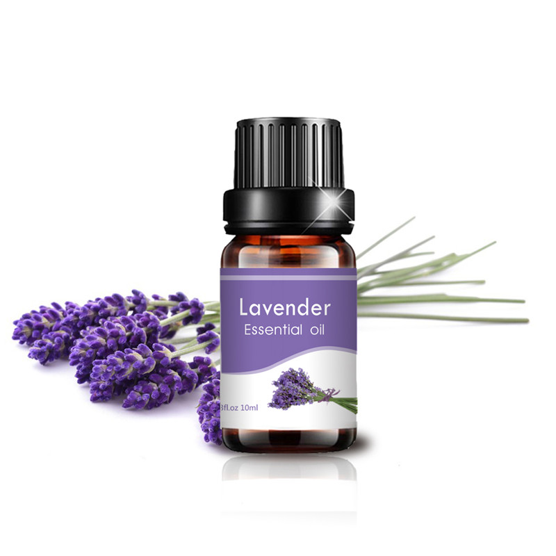 100 % reines und natürliches ätherisches Bio-Eigenmarken-Lavendelöl zur Massage-Hautpflege