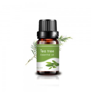 arbre à thé 10 ml de qualité thérapeutique pure de qualité supérieure ...