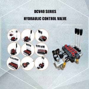 Monoblock Control Valve DCV40