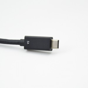 Câble de marque USB C vers C Gen2