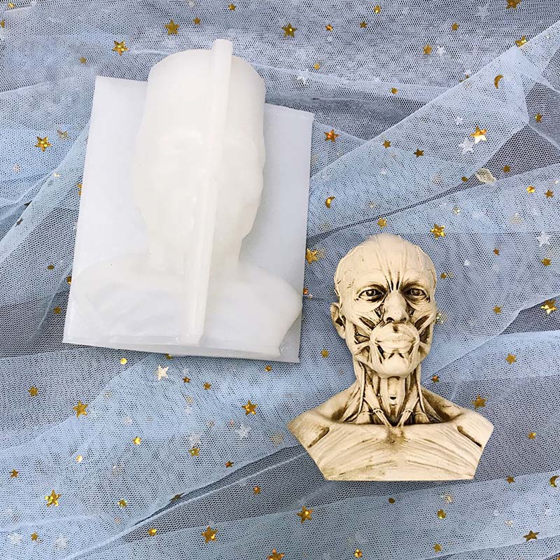 J1112 Faça você mesmo Gesso Arte Esboço Esqueleto Humano Crânio Espécime Molde Músculo Cabeça Humana Molde de Silicone