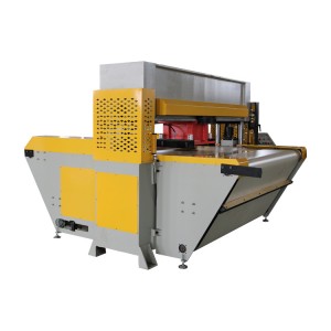 50 Ton Conveyor belt automatic feeding travel head cutting press