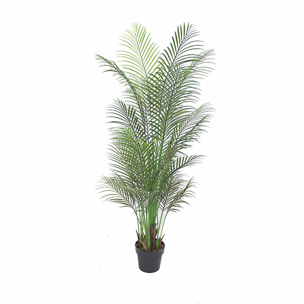 Mākslīgais palmas koka mākslīgais pundurkociņš Piedāvātais attēls