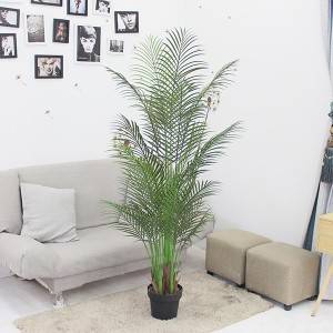 Vroče prodajne tovarniške umetne palme iz plastičnih rastlin za notranjo dekoracijo