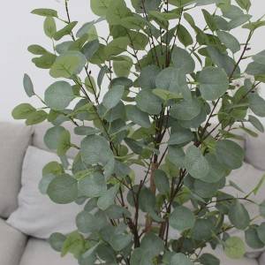 Pokok eucalyptus tiruan tumbuhan bonsai tiruan