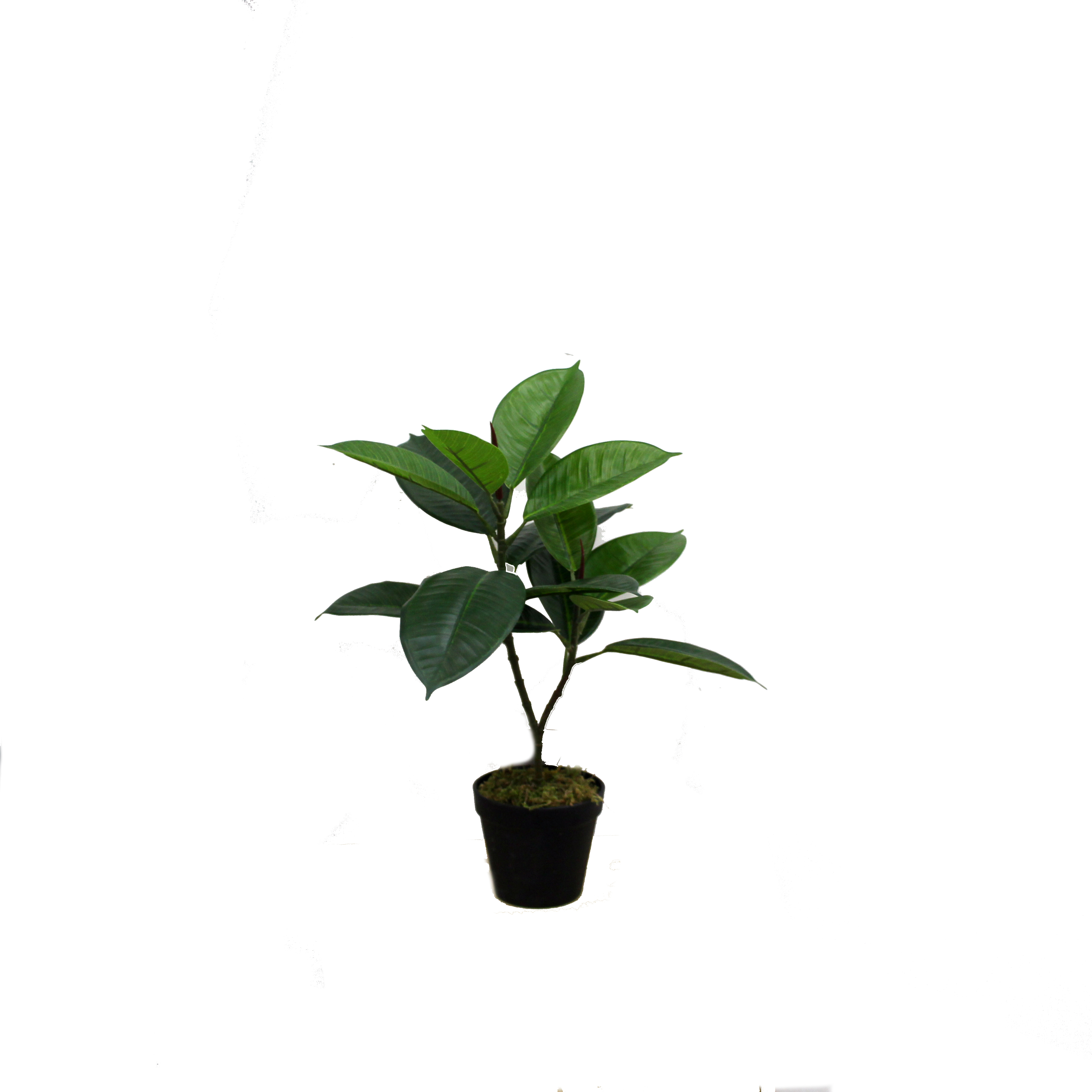 Jauna stila mākslīgās gumijas koka mazie augi galda dekorēšanai Featured Image