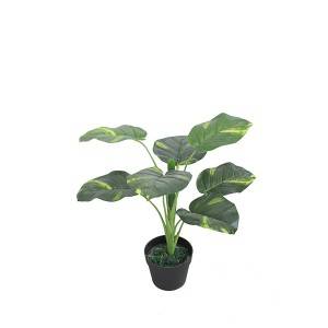 Scindapsus aureus artificiale pianta bonsai artificiale