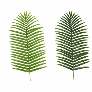 Greenery Plastic ຕົ້ນປາມໃຫຍ່ໃບຫມາກພ້າວທຽມ Date Palm Tree Leaf ສໍາລັບການນໍາໃຊ້ໂຄງການ