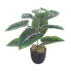 Pabrika ng artipisyal na bonsai na artipisyal na mini taro plant