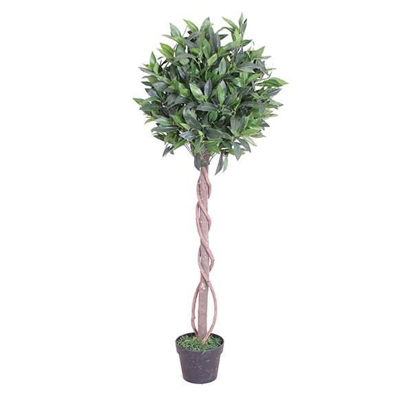 Vendita calda pianta topiaria artificiale bonsai bay tree prezzu di fabbrica alta qualità bonsai artificial bay tree image presentata
