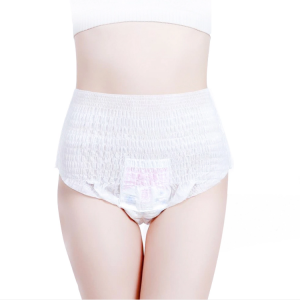 Cheap Sanitary Napkin panty type from china factory