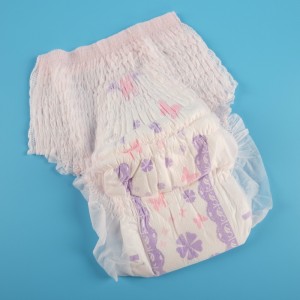 Sanitary Napkin panty type