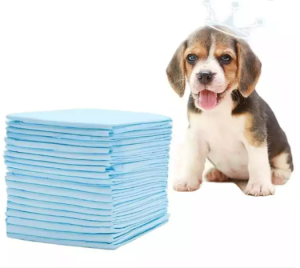 Pabrik harga grosir anak anjing Pelatihan Pad disposable Pee Pad pikeun latihan heave absorbent