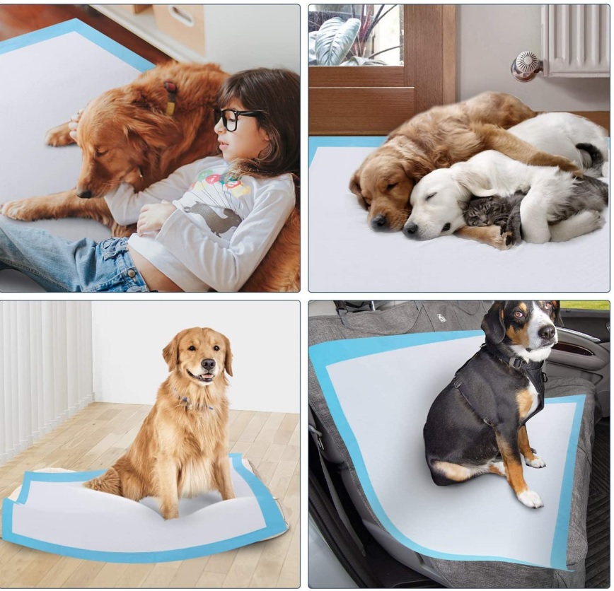 Some knowledge about pet pee pad/puppy pad