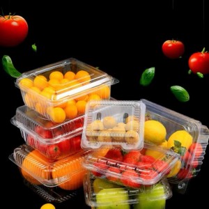 Duorsum en feilich PET disposable fruit- en grientekontainer