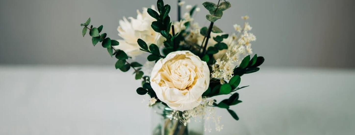 מפיצי קנה פרחים של סולה: אלטרנטיבה של ניחוח ביתי למפזרי חום וחשמליים ונרות