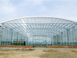 Green House Glas & Solar Glass Solutions