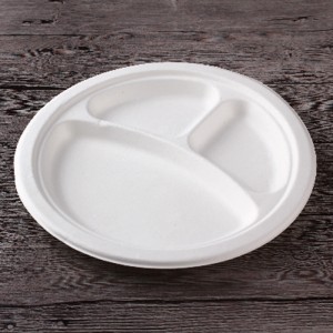 10 Inch -3Compartments Disposable Paper Plate
