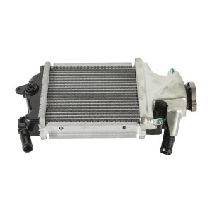 Sample Available Motorcycle Spare Part Radiator Water Cooler Fan