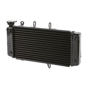 Spare Parts Motorcycle Engine Cooling Radiator Cooler