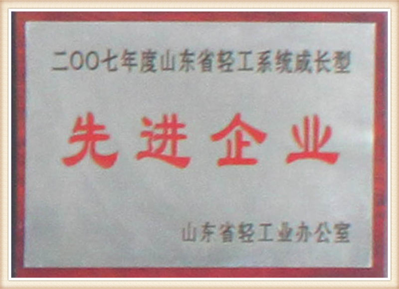 Modelo de crecimiento del sistema de la industria ligera de Shandong 2007