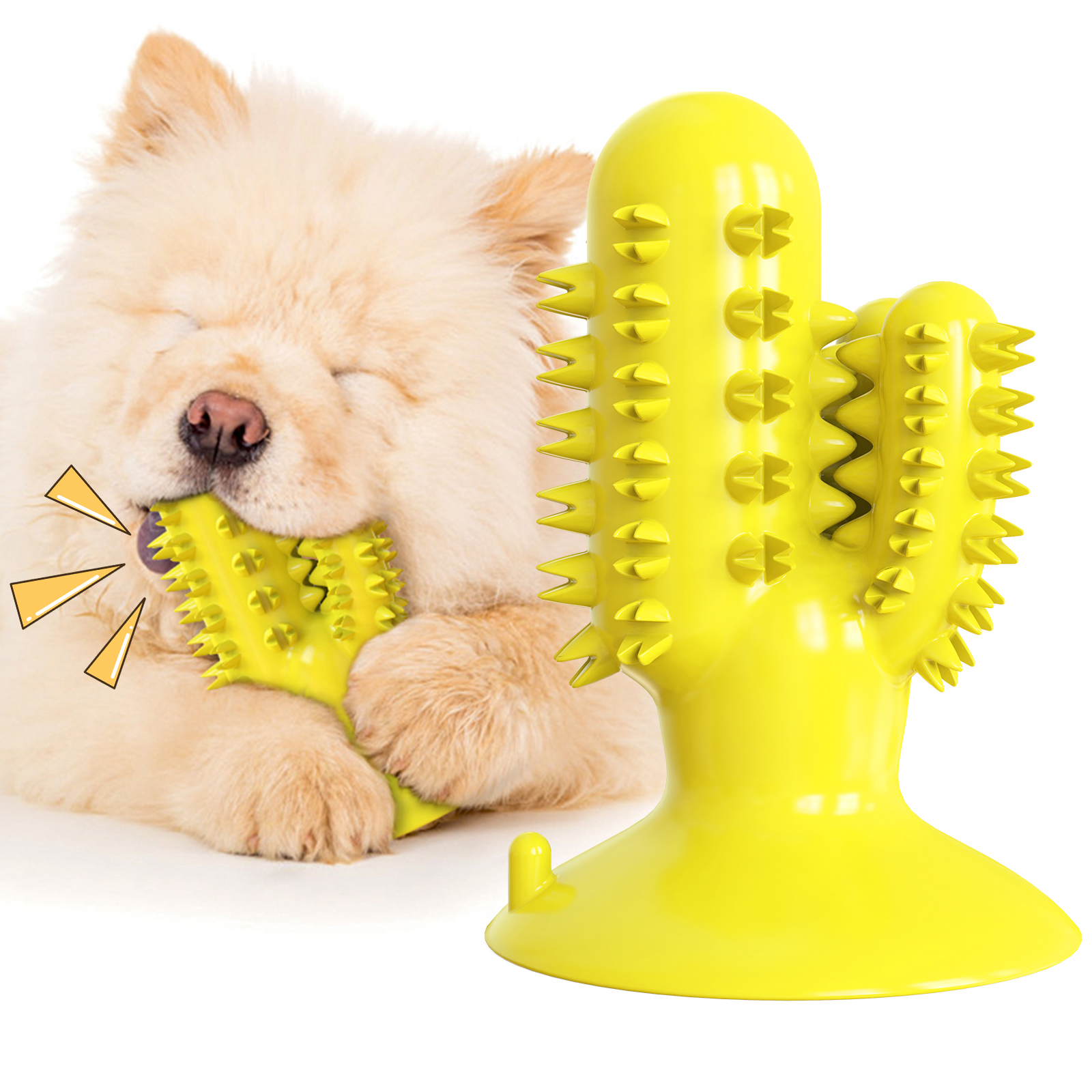 2020 Նոր դիզայնի կակտուսի ձևի ճռճռացող շան ատամի խոզանակ ներծծող բաժակ լակոտ շան ծամելու խաղալիքներ