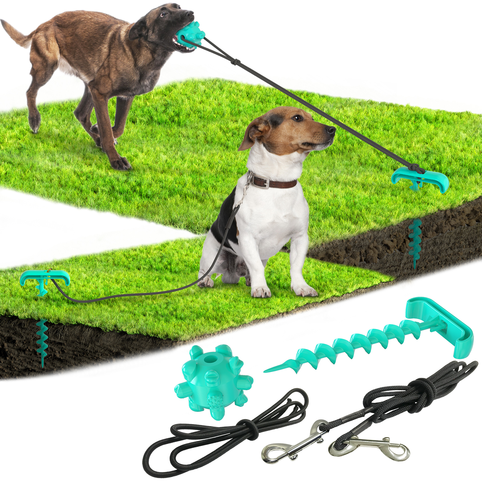 Vairumtirdzniecība āra pārnēsājama skrūvējama fiksēta kaudzes vilkšanas elastīga virve ar molāra lodveida suņu rotaļlietu